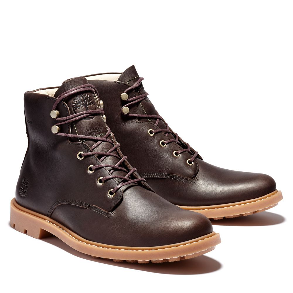 Bocanci 6-Inch Timberland Barbati Maro Inchis - Belanger Ek+ Waterproof - Romania - TEWQAM825